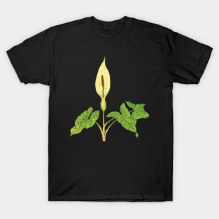 Arum maculatum - botanical illustration T-Shirt